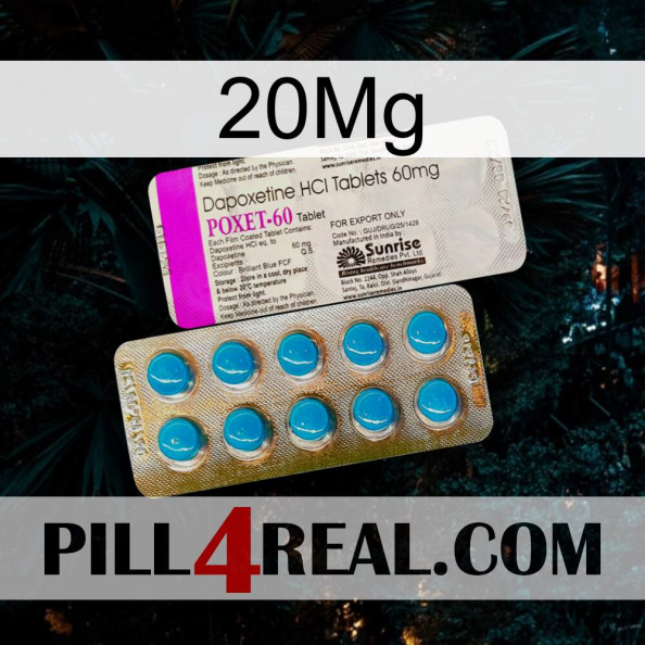 20Mg new07.jpg